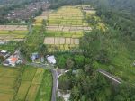 thumbnail-di-jual-tanah-komersial-los-tebing-sungai-di-jln-payangan-ubud-bali-3