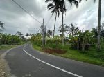 thumbnail-di-jual-tanah-komersial-los-tebing-sungai-di-jln-payangan-ubud-bali-5