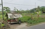 thumbnail-dijual-tanah-dipinggir-jalan-raya-serang-pandeglang-baros-3