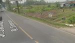 thumbnail-dijual-tanah-dipinggir-jalan-raya-serang-pandeglang-baros-4