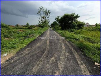 Tanah Sleman Dijual, di Trihanggo, Dekat Jcm SHM P