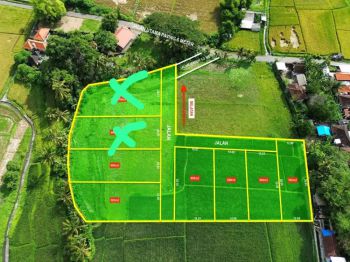 Dijual Lahan Minimal 5are View Sawah di Kaba Kaba dkt ke Munggu