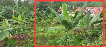 [TANAHMURAHSEMARANG] BU kavling Perumahan Watu Gong pudak payung