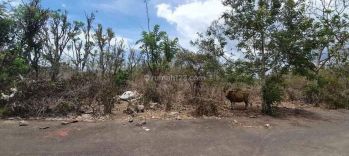 Dijual Tanah Murah Area Villa di Balangan Jimbaran