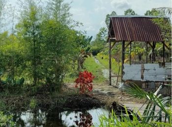 Tanah Jl. Paus Rumbai, cocok untuk perumahan