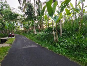 Dijual Tanah di Bukian view sawah, gunung, sunset dan telabah