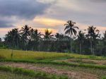 thumbnail-dijual-tanah-di-bukian-view-sawah-gunung-sunset-dan-telabah-6