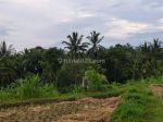 thumbnail-dijual-tanah-di-bukian-view-sawah-gunung-sunset-dan-telabah-8