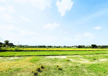 Tanah Pekarangan View Sawah Kota, Hanya 6 Juta An M2, Selatan Ambarrukmo Plaza