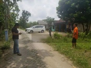Lahan Perkebunan di Purwosari Bojonegoro Jawa Timur