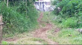 Lahan produktif harga murah di Turi Kucur. Dau. Malang. Jawa Timur