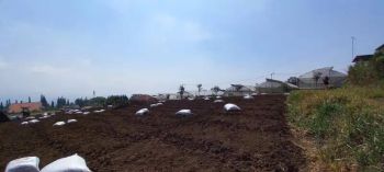 Tanah luas kawasan abdul gani atas kota batu dekat hotel agro wisata