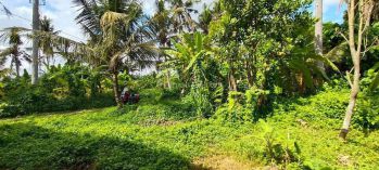 Di jual tanah Dekat mas Ubud