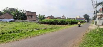 Dijual Tanah Bunut Asrikaton Pakis Cpt murah B.U dkt Jl. Raya Provinsi