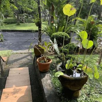 Rumah luas, row jalan depan rumah lebar, ada halaman belakang yg luas,