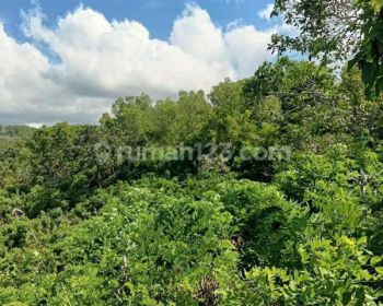 Land For Rent Cliff Nusa Penida Bali