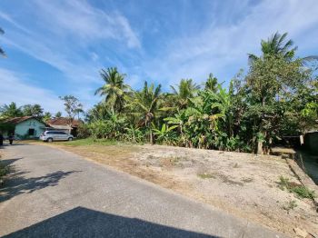 Timur YIA Jogja,, Tanah Pas Huni di Tawangsari SHM Pekarangan