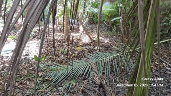 Leasehold! Strategic Location Land with 2road access in Kuta area