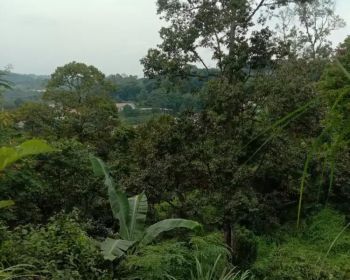 Menyewakan tanah dan oper alih garap