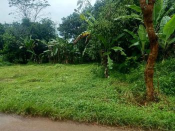 Dijual tanah di Jatisari, Cileungsi