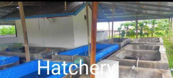 DIJUAL TANAH/GUDANG/BANGUNAN COCOK UNTUK PARIWISATA/PABRIK SEAFOOD