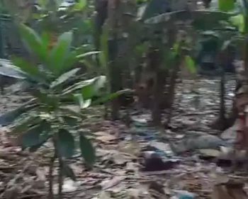 .Tanah murah 350 M2 dekat kampus UI