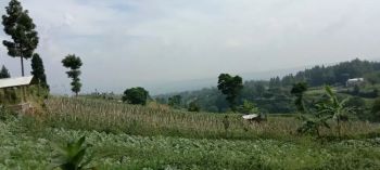 Tanah trategis luas 2500mtr harga 500rb/m