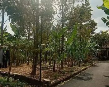 Tanah Hunian Rumah Dan Pekarangan