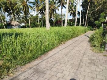 Dijual Tanah Aspek Perumahan Di Silungan Lodtunduh Ubud Bali