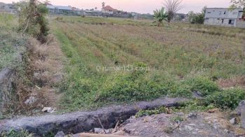 Tanah Jalan Tukad Badung Renon Denpasar Cocok Perumahan
