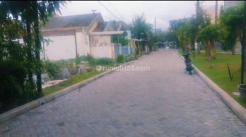 Kav griyo mapan utara