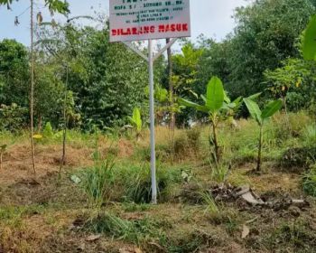 Tanah Murah Jual Cepat