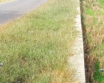 Jual murah Tanah sawah pinggir jalan luas ± 6000 m2, lebar muka 29.5m