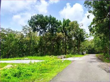 SIAP AJB: Tanah Kavling Selatan Kota Wates Jogja, Beli 1 Dapat 2