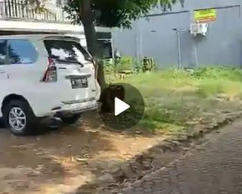 Dijual tanah di Bintaro sekolah penabur