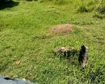 Tanah Kavling Perumahan Siap Bangun