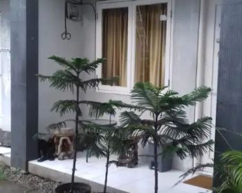 Di sewakan rumah murah di pangkalan jati, Cinere
