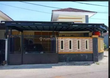 Rent Rumah: Rumah Minimalis