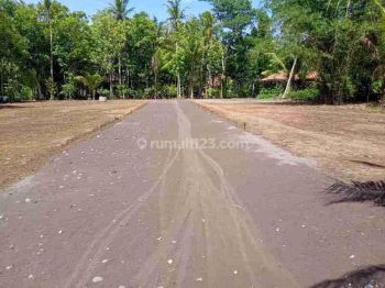 Tanah Timur Bandara Yia, Cocok Bangun Hunian SHM Ready