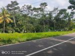 thumbnail-tanah-strategis-dekat-lokawisata-baturaden-purwokerto-2