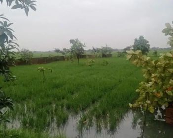 Di jual tanah dengan fasilitas