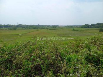 Kavling Tanah Jalan Irigasi Desa Sinarjati Cibarusah Bekasi Jabar