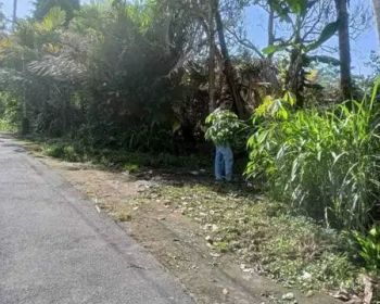 JUAL TANAH PEKARANGAN AGRO WISATA TURI