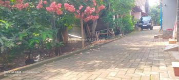 Tanah Investasi di Kalisegoro Dekat Unnes, Semarang SHM 416 m²