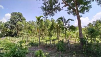 DIJUAL TANAH KEBUN DI WEU KRUNG MONTASIK ACEH BESAR