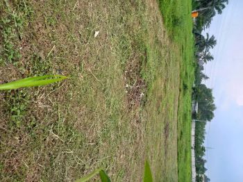 Dijual Tanah. Tengah Kota, padat penduduk. M. Said Samarinda