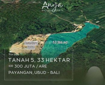 Dijual Tanah Hak Milik Seluas 5,33 Hektar di Payangan Ubud Bali, Lokasi Tanah