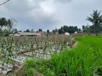 Dijual tanah milik bisa sebagian