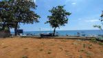 thumbnail-for-sale-land-beach-front-in-lovina-with-good-acces-road-1