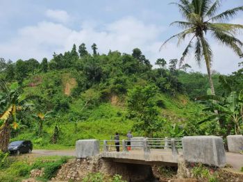 Tanah Luas Murah Lampung